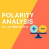 Precision Through Polarity: An Introduction to Polarity Analysis in Homeopathy