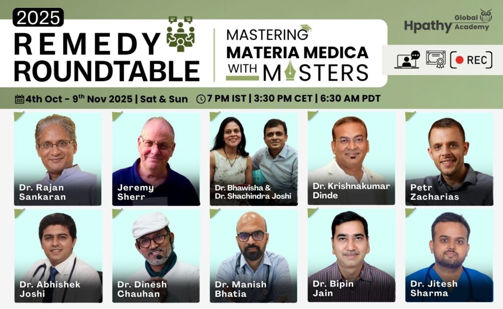 Remedy Roundtable 2025