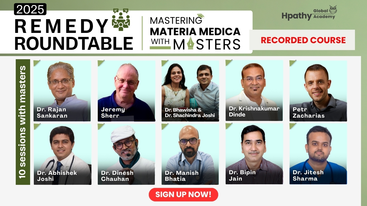 Remedy Roundtable 2025