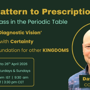 From Pattern to Prescription - A Masterclass in the Periodic Table